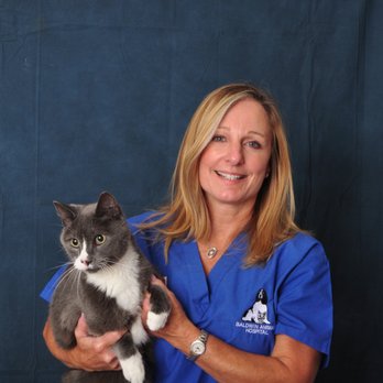 animal hospital baldwin