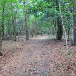 Stratton Brook State Park - Trail