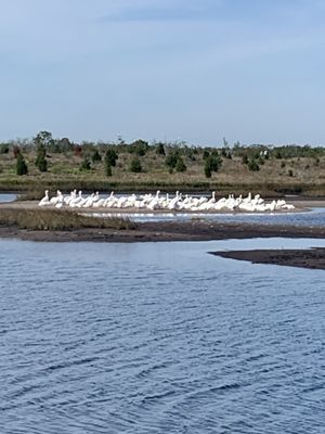 Robinson Preserve by null