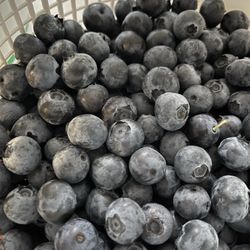 Lewis Strawberry Nursery & Farm - Blueberries
