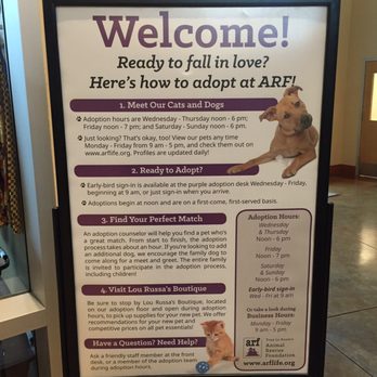 Joybound - Adoption process - Animal Shelters Near Me - Walnut Creek, California Joybound - Adoption process - Animal Shelters Near Me - Walnut Creek, California