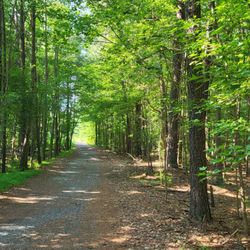 Sandy Bottom Nature Park - Another great shot