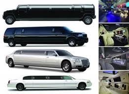 Master Limos