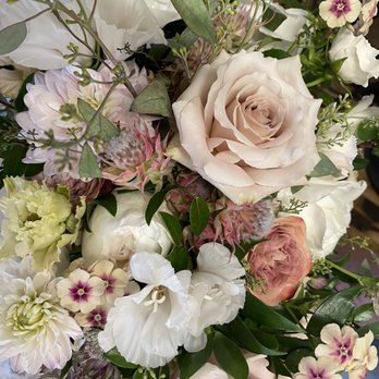 Daffodil Parker - Florists Near Me - Madison, Wisconsin