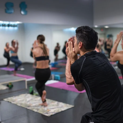 Yoga Quest