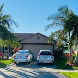 2 front Piccabeen Palms