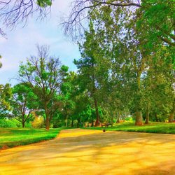 Keith Tice Memorial Park