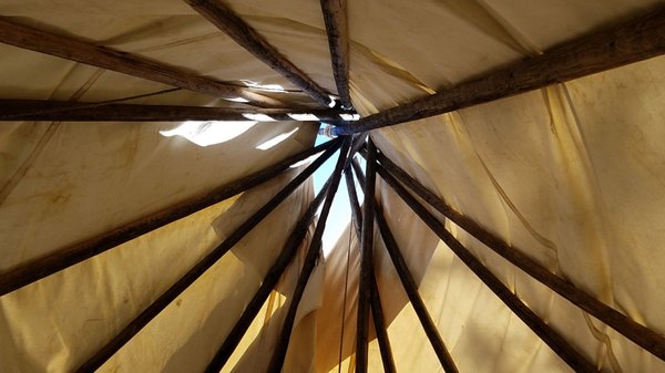 Hualapai Mountain Park Campground by null