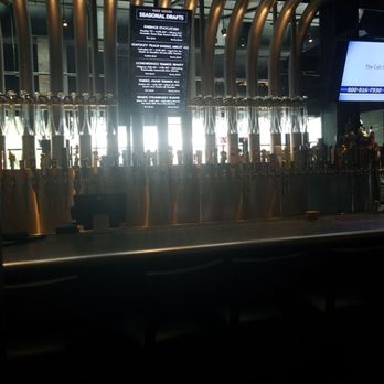 Yard House - New American Near Me - San Antonio, Texas