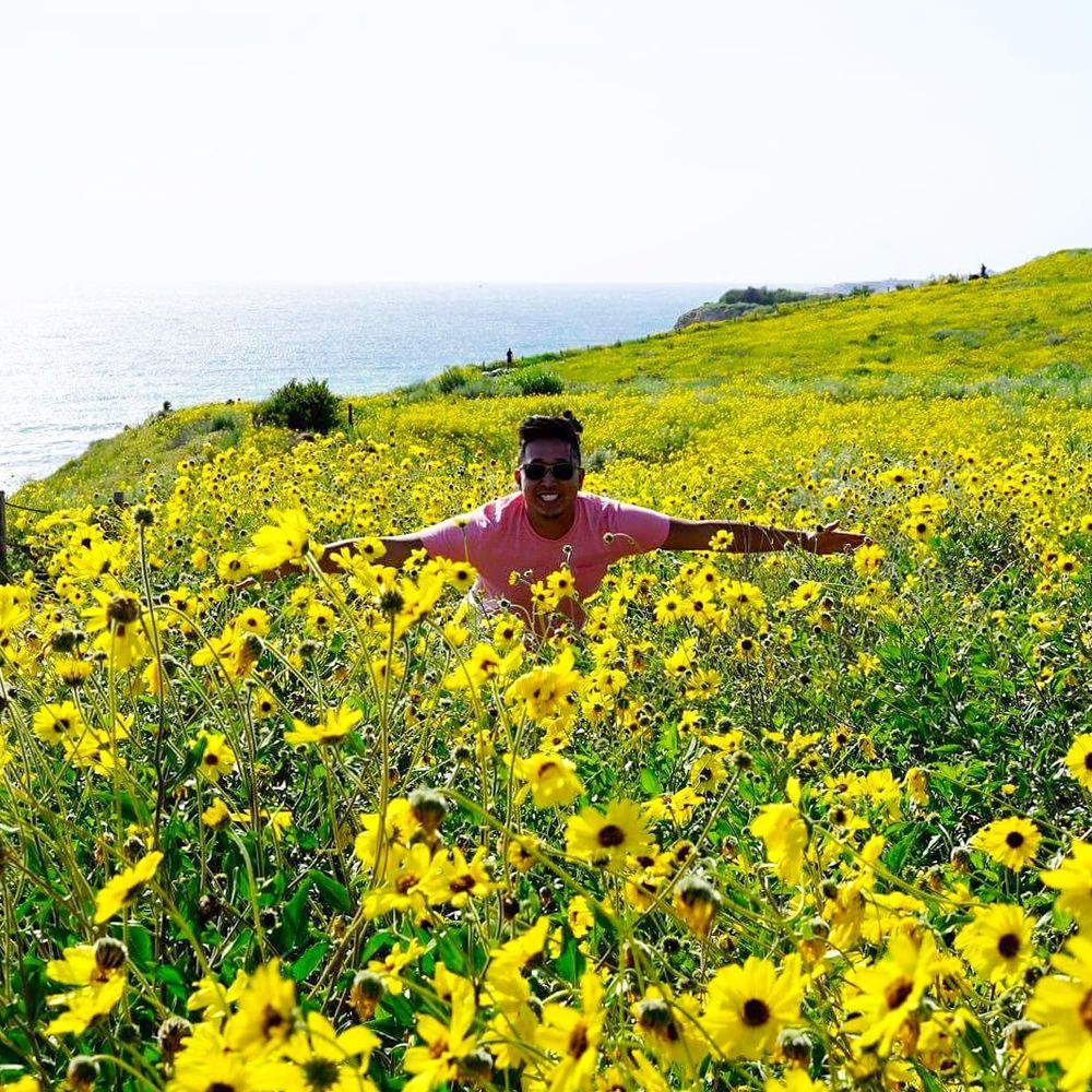 Founder's Park - Parks Near Me - Rancho Palos Verdes, California