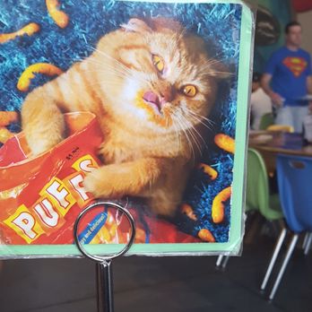 Biscuit Head - The numbers for your orders have cats on one side. - Breakfast & Brunch Near Me - Greenville, South Carolina Biscuit Head - The numbers for your orders have cats on one side. - Breakfast & Brunch Near Me - Greenville, South Carolina