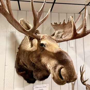 Smoky Tony's BBQ - Moose - Southern Near Me - Holly Ridge, North Carolina Smoky Tony's BBQ - Moose - Southern Near Me - Holly Ridge, North Carolina