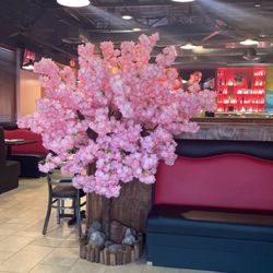 Sakura Sushi