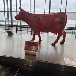 Aéroport International de Limoges Bellegarde - Arrivals