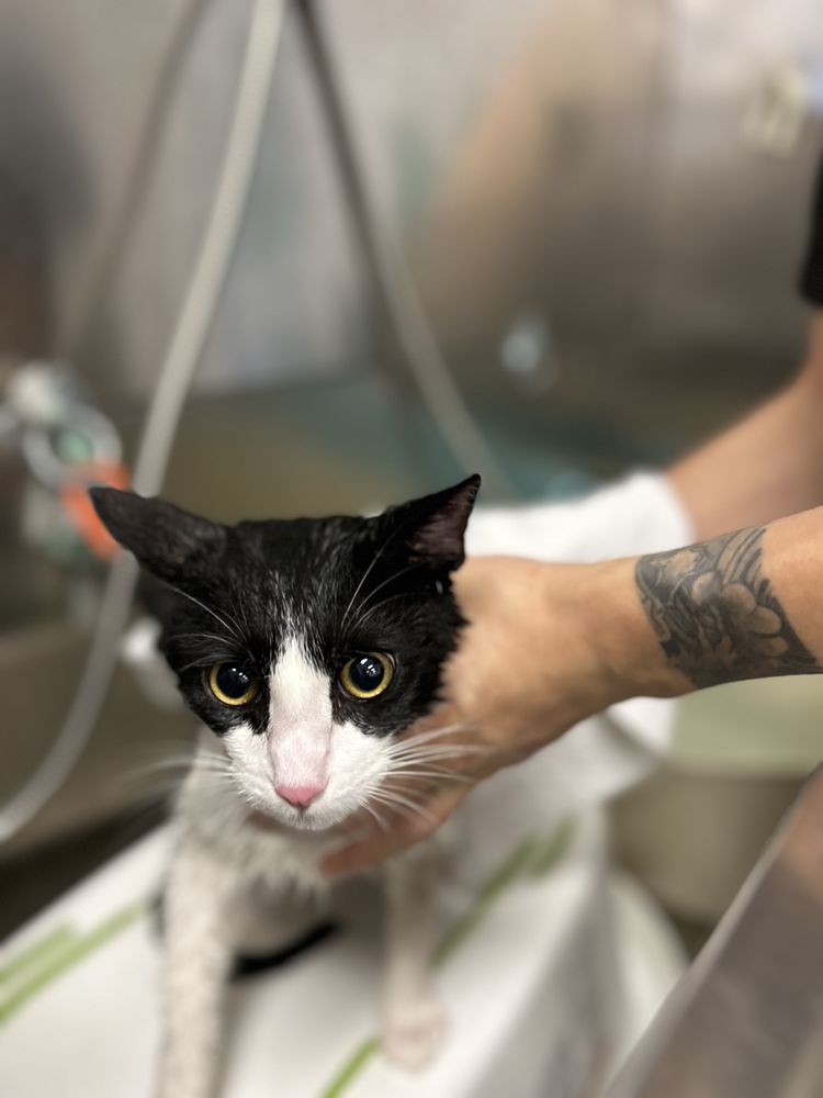 PET BELOVED 624 Photos & 25 Reviews 6375 El Cajon Blvd, San Diego