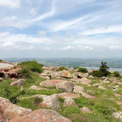 Mount Scott - April 2026