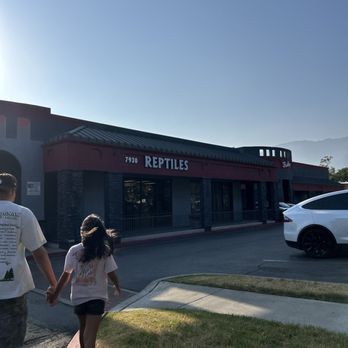 Reptile Island - Pet Stores Near Me - Rancho Cucamonga, California