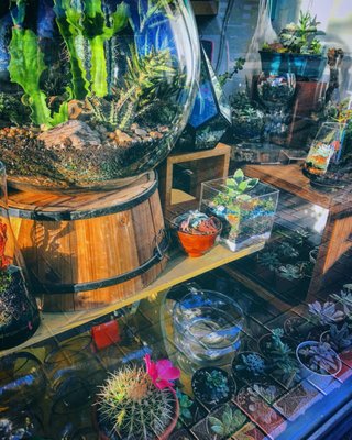 Ephemera - Plants, Terrariums and Comics by null