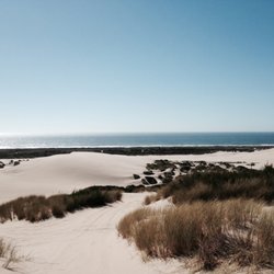 Dune Riders - view from the dunes