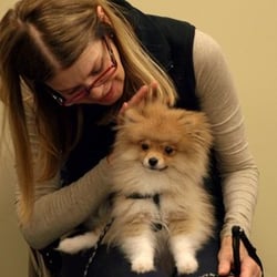 Hands On Dog Training