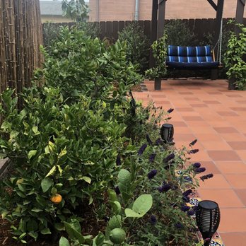 Beaudry Garden Design - Landscaping Near Me - La Mesa, California Beaudry Garden Design - Landscaping Near Me - La Mesa, California