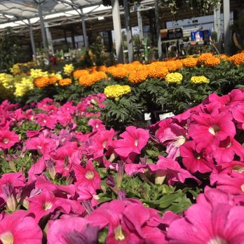 The Home Depot - Spring is here 3 for 10$ - Hardware Stores Near Me - Monrovia, California The Home Depot - Spring is here 3 for 10$ - Hardware Stores Near Me - Monrovia, California