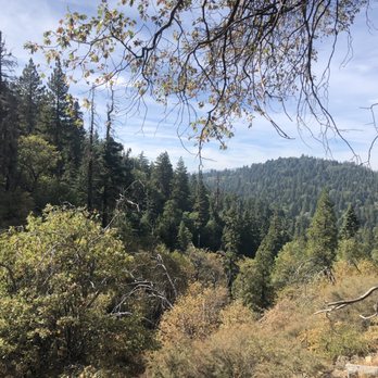 Heaps Peak Arboretum  - Beautiful views on this easy trail - Botanical Gardens Near Me - Lake Arrowhead, California