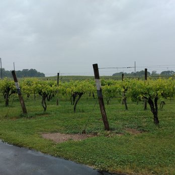 Domaine Berrien Cellars - Wineries Near Me - Berrien Springs, Michigan Domaine Berrien Cellars - Wineries Near Me - Berrien Springs, Michigan