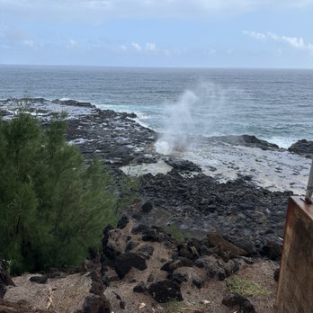 Polynesian Adventure Tours - Bus Tours Near Me - Lihue, Hawaii