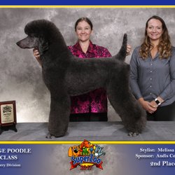 A Touch Of Class - Super Zoo second place