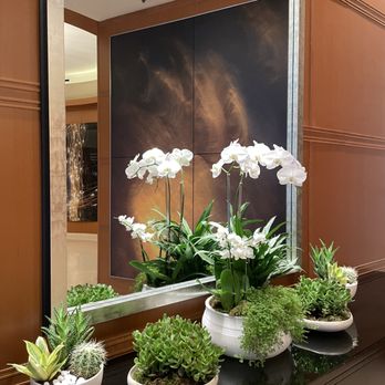 Grand Hyatt DFW - very classy orchid arrangement - Hotels Near Me - Dallas, Texas Grand Hyatt DFW - very classy orchid arrangement - Hotels Near Me - Dallas, Texas