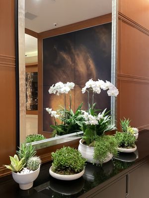 Grand Hyatt DFW by null