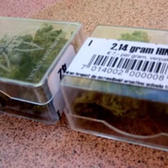 The Grass Company - Coffeeshops Near Me - Tilburg, New Brunswick