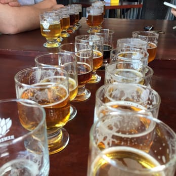 Renegade Brewing - A Pilot and Co-pilot flight shared between friends. - Breweries Near Me - Denver, Colorado