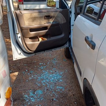777 Auto Glass - Uh-oh. Bear break-in. - Auto Glass Services Near Me 777 Auto Glass - Uh-oh. Bear break-in. - Auto Glass Services Near Me