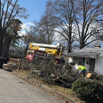 Carden Tree Service - Tree Services Near Me