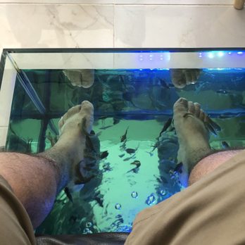 Holistic Spa Cancun - Fish tank - Day Spas Near Me - Cancún, ROO