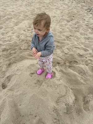 Petoskey State Park by null