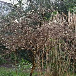 Schoonoord