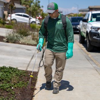 Pointer Pest Control - We help keep ground pests such as cockroaches, ants, beetles, silverfish, and earwigs under control. - Pest Control Near Me - Granite Bay, California
