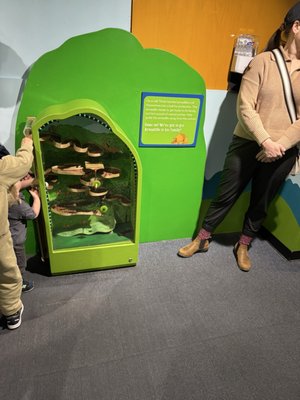 Children's Museum Of Manhattan by null