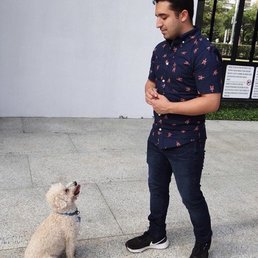 Steven and Scooby training session! Steven and Scooby training session!