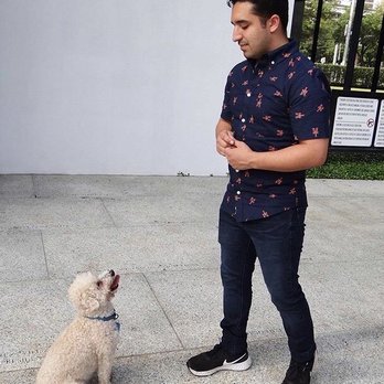 Venture Dog Training - Steven and Scooby training session! - Pet Training Near Me Venture Dog Training - Steven and Scooby training session! - Pet Training Near Me