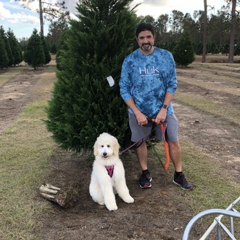 Fish River Trees Christmas Tree Farm - Getting ready to cut down our tree. - Christmas Trees Near Me - Silverhill, Alabama