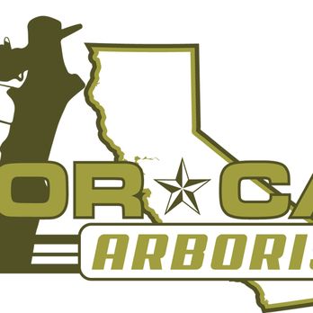 Norcal Arborists - Norcal Arborists - Tree Services Near Me Norcal Arborists - Norcal Arborists - Tree Services Near Me