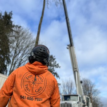 True North Tree Care - Using a crane to remove 6 maple trees from an area with nearly zero access. - Tree Services Near Me - Marcola, Oregon True North Tree Care - Using a crane to remove 6 maple trees from an area with nearly zero access. - Tree Services Near Me - Marcola, Oregon