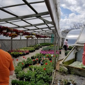 Evergrowin'greenhouses - Beautiful blooms! - Home & Garden Near Me - Bridgewater, Virginia