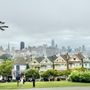 Photo of Painted Ladies