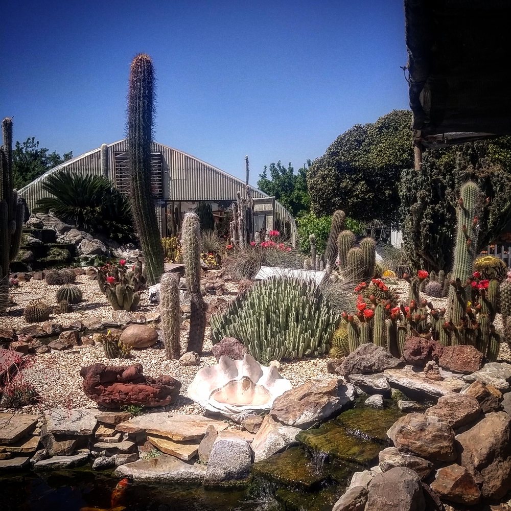 Poot's Cactus Nursery - Nurseries & Gardening Near Me - Ripon, California Poot's Cactus Nursery - Nurseries & Gardening Near Me - Ripon, California