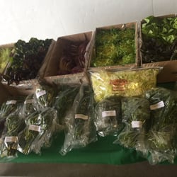Scarborough Farms